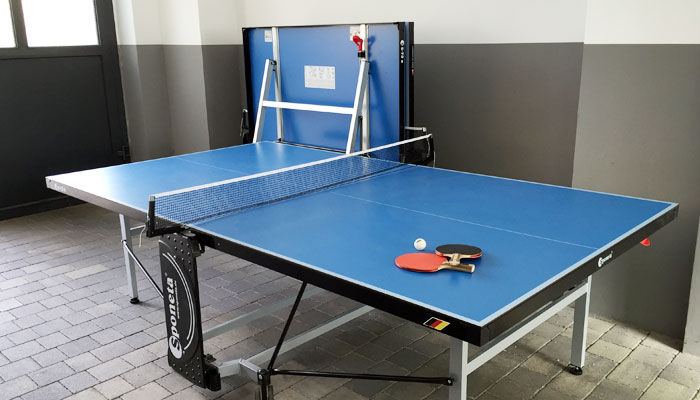Unsere Tischtennisplatte